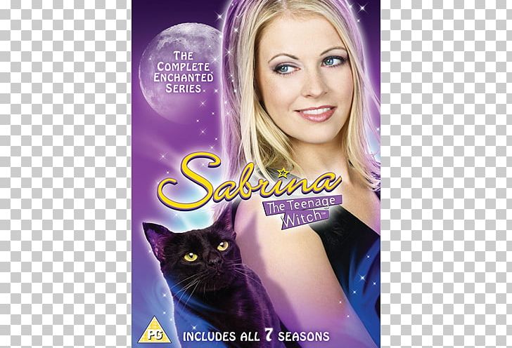 Melissa Joan Hart Sabrina The Teenage Witch Sabrina Spellman Box Set DVD PNG, Clipart, Bewitched, Blond, Box Set, Brown Hair, Dvd Free PNG Download