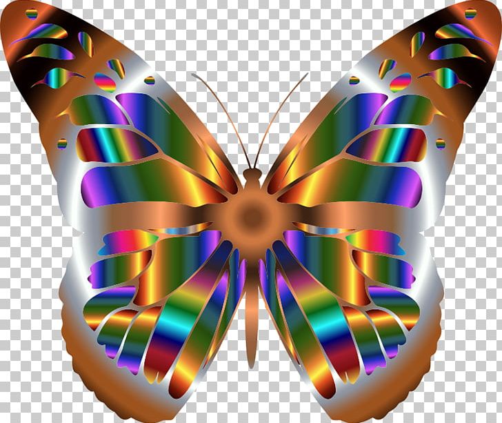 Monarch Butterfly Iridescence PNG, Clipart, Brush Footed Butterfly, Butterflies And Moths, Butterfly, Color, Computer Icons Free PNG Download