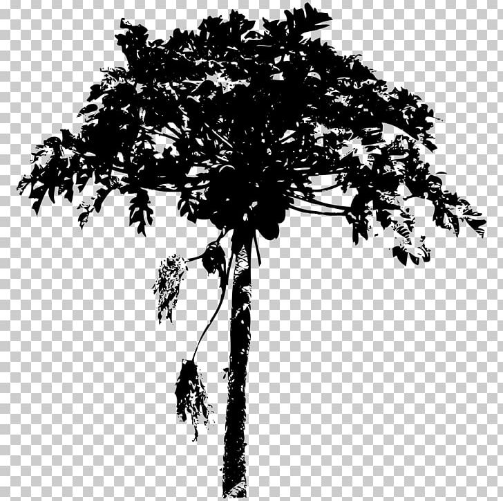 Tree Paintbrush Woody Plant PNG, Clipart, Black And White, Branch, Brush, Monochrome, Monochrome Photography Free PNG Download