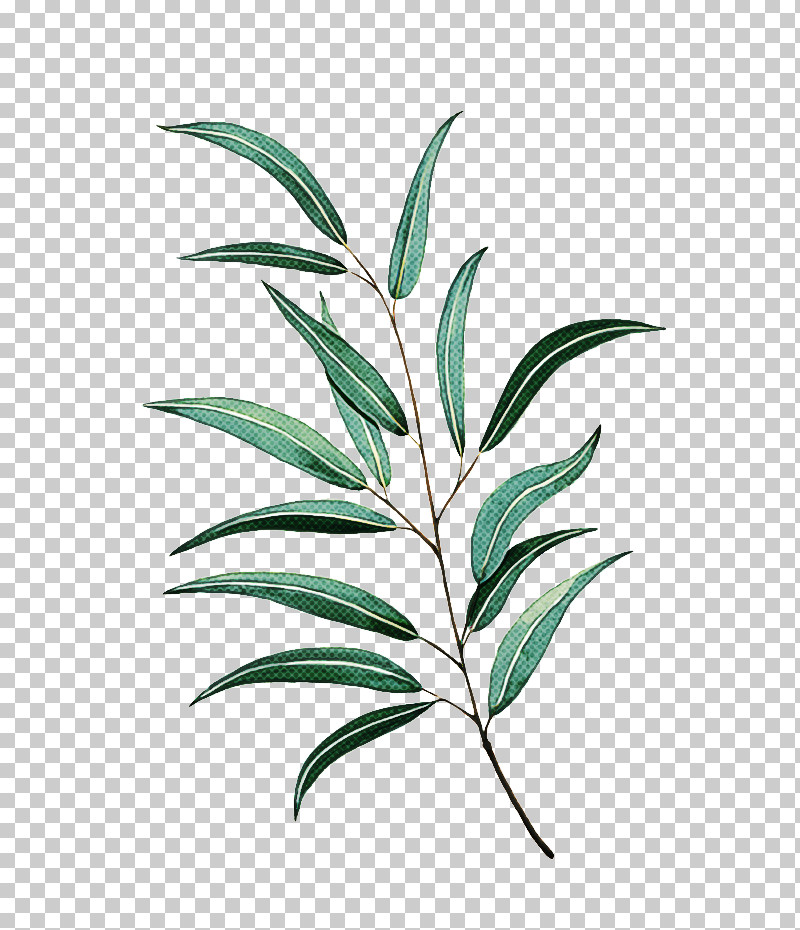 Twice Leaf Drop Shipping PNG, Clipart, Discounts And Allowances, Drop Shipping, Got7, Grasses, Kpop Free PNG Download