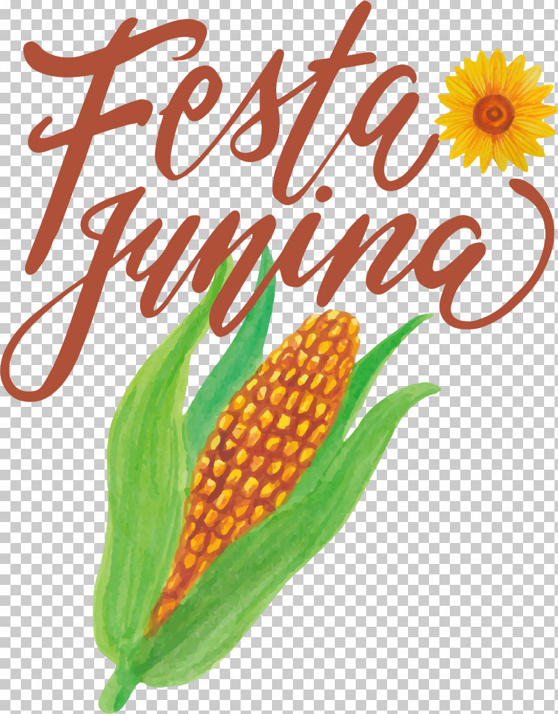 Corn On The Cob Vegetarian Cuisine Sweet Corn Natural Food Corn PNG, Clipart, Commodity, Corn, Corn On The Cob, Flower, Fruit Free PNG Download