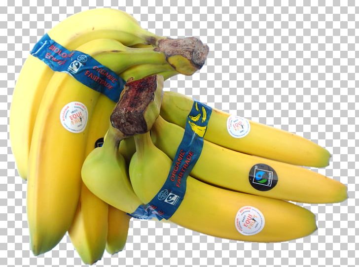 Banana Equifruit PNG, Clipart, Banana, Banana Family, Canada, Daughter, Double Eleven Discount Free PNG Download