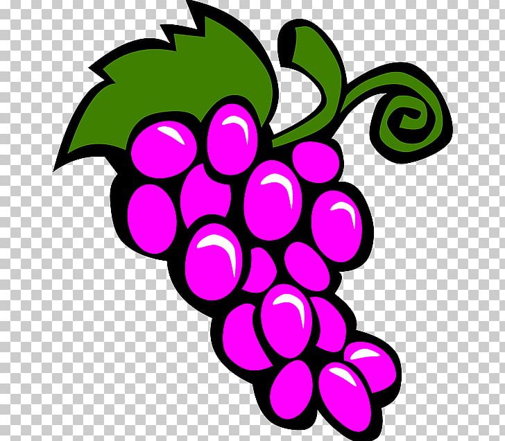 Fruit Salad Grape PNG, Clipart, Apple, Blog, Circle, Clip Art, Drawing Free PNG Download