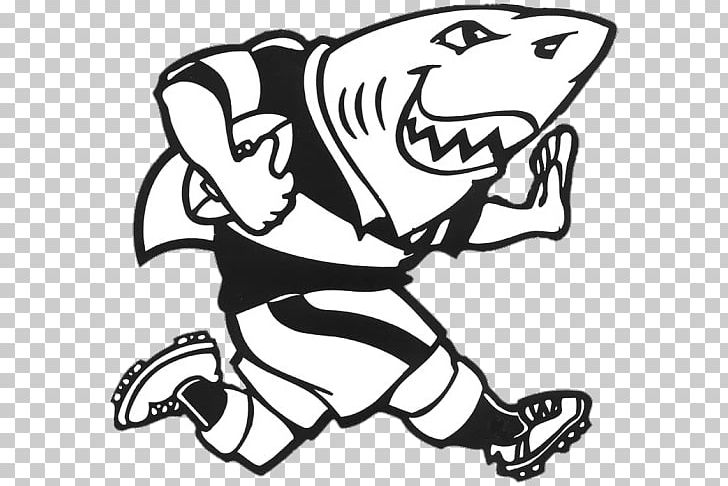 Sharks Bulls Rugby Union KwaZulu-Natal PNG, Clipart, Animals, Black, Black And White, Bulls, Depict Free PNG Download