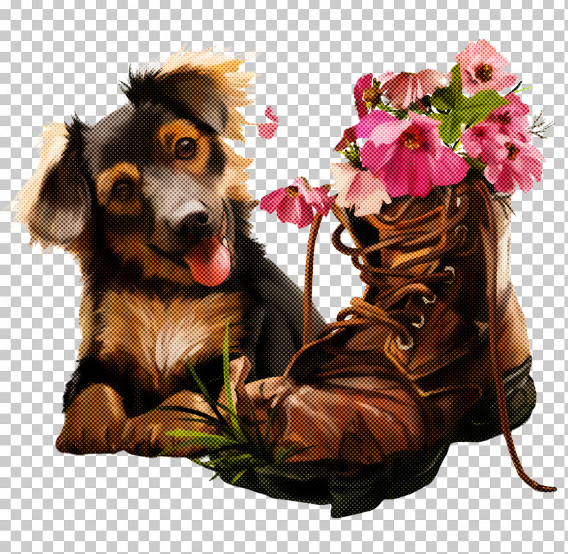 Dog Puppy Dachshund Sporting Group Companion Dog PNG, Clipart, Companion Dog, Dachshund, Dog, Flower, Plant Free PNG Download