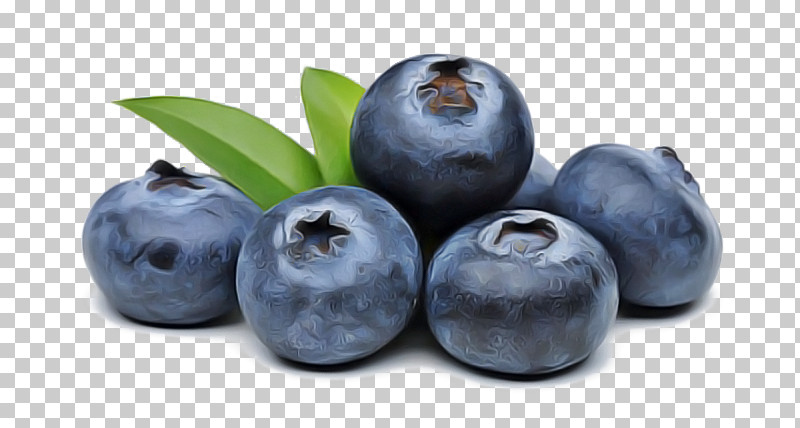 Fruit European Plum Berry Superfood Bilberry PNG, Clipart, Berry, Bilberry, Blueberry, European Plum, Food Free PNG Download
