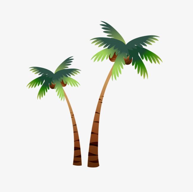 Cartoon Coconut Trees PNG, Clipart, Backgrounds, Beach, Cartoon, Cartoon  Clipart, Cartoon Coconut Trees Free PNG Download