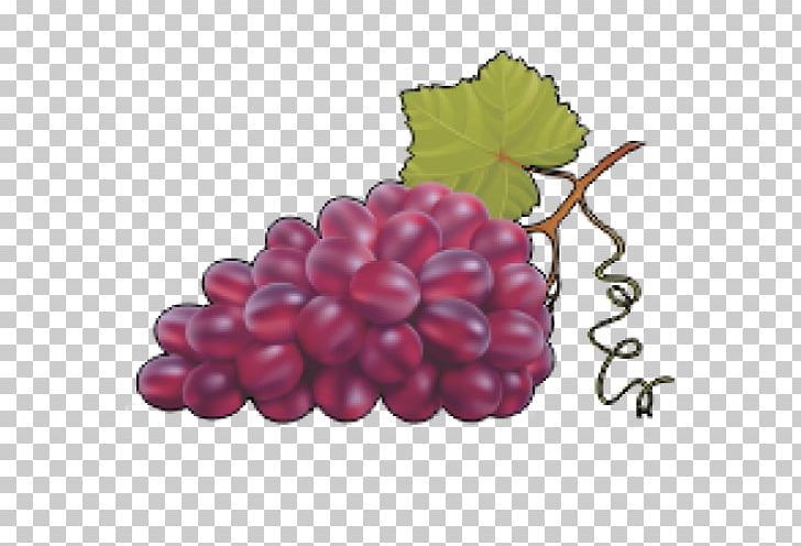 Common Grape Vine Grape Leaves Wine PNG, Clipart, Berry, Encapsulated Postscript, Flowering Plant, Food, Fruit Free PNG Download