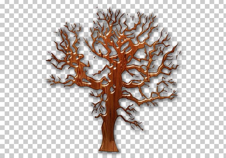 Tree House Wood Twig Evergreen PNG, Clipart, Arecaceae, Autumn, Branch, Burn, Christmas Tree Free PNG Download