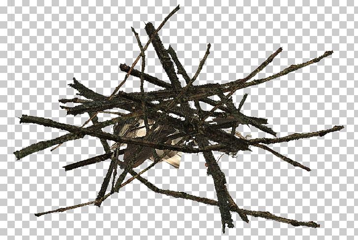 Twig DayZ Fireplace Living Room Mavic Cosmic Pro Carbon Clincher PNG, Clipart, Branch, Campfire, Dayz, Fire, Fireplace Free PNG Download