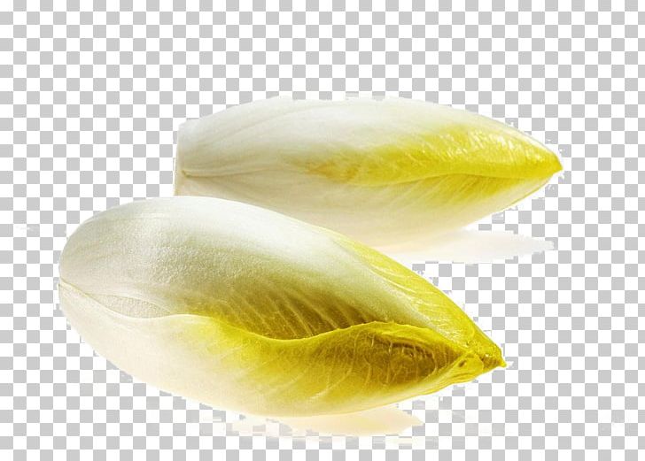 Chicory Taste Bitterness Vegetable Endive PNG, Clipart, Bitterness, Cabbage, Cartoon Cabbage, Chicory, Chinese Cabbage Free PNG Download