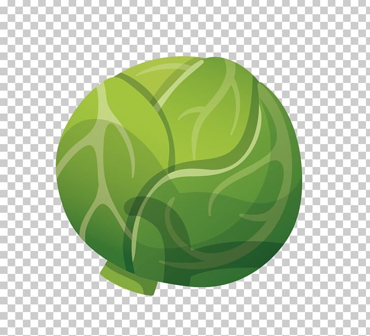 Chinese Cabbage Vegetable PNG, Clipart, Brassica Oleracea, Cabbage, Cabbage Cartoon, Cabbage Leaves, Cabbage Vector Free PNG Download