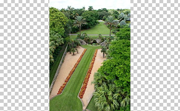 Fairchild Tropical Botanic Garden Botanical Garden Landscaping New Work PNG, Clipart, Aula Uva, Botanic, Botanical Garden, Botanic Garden, Botany Free PNG Download