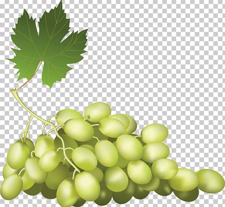 Fruit Grape PNG, Clipart, Art, Behealthy, Download, Encapsulated Postscript, Food Free PNG Download