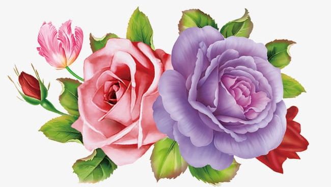 Hand-painted Roses PNG, Clipart, Ceramic, Ceramic Decal, Creative, Creative Design, Decal Free PNG Download