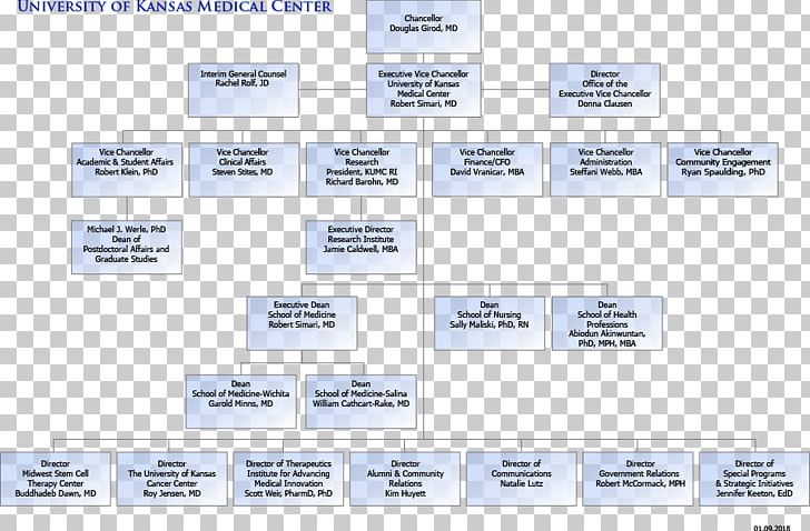Organizational Chart The University Of Kansas Medical Center Diagram Organizational Structure PNG, Clipart, Area, Biopharmaceutical Color Pages, Brand, Business Process, Chart Free PNG Download
