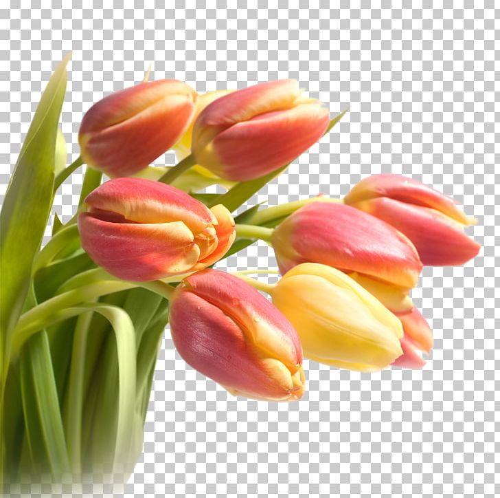 Paper Tulip Flower Bouquet PNG, Clipart, Bud, Cut Flowers, Digital Image, Flower, Flowering Plant Free PNG Download