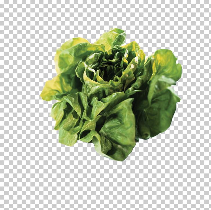 Ukraine Food OLX Child PNG, Clipart, Background White, Black White, Brand, Cabbage, Chard Free PNG Download