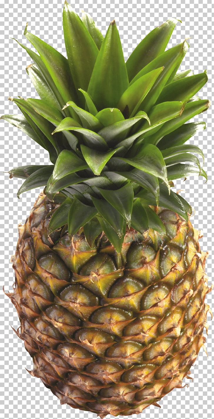 Juice Pineapple PNG, Clipart, Ananas, Befit, Berry, Bromeliaceae, Canon Free PNG Download