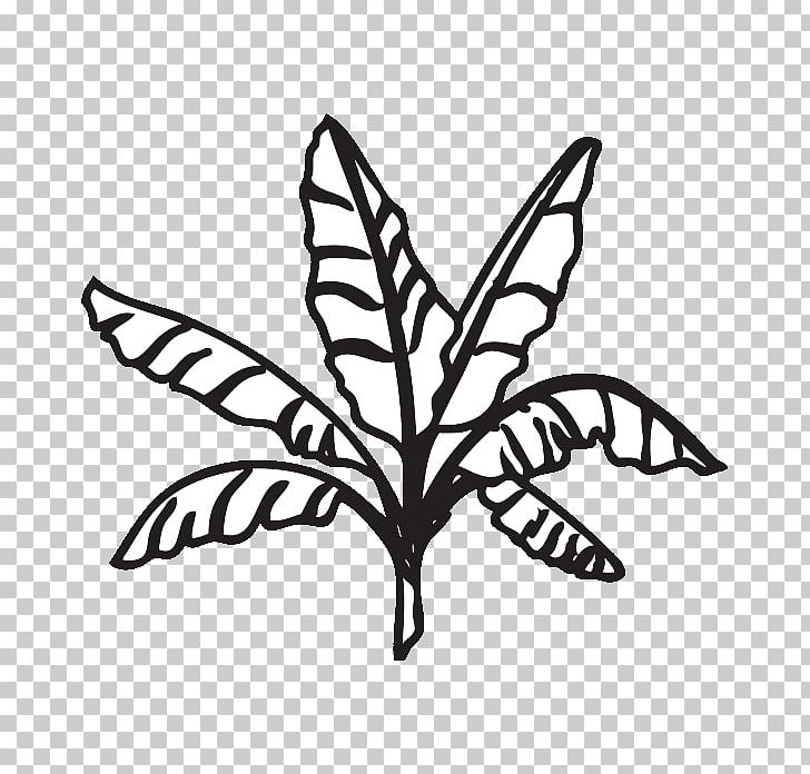Coloring Book Banana Leaf PNG, Clipart, Angle, Banana , Black And White, Branch, Butterfly Free PNG Download