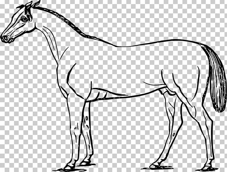 Mustang Mule Foal Colt PNG, Clipart, Anima, Artwork, Ati, Bit, Black And White Free PNG Download
