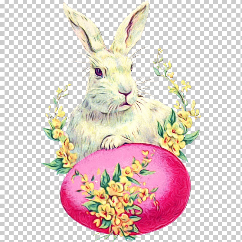 Easter Egg PNG, Clipart, Easter, Easter Bunny, Easter Egg, Paint, Perennial Plant Free PNG Download