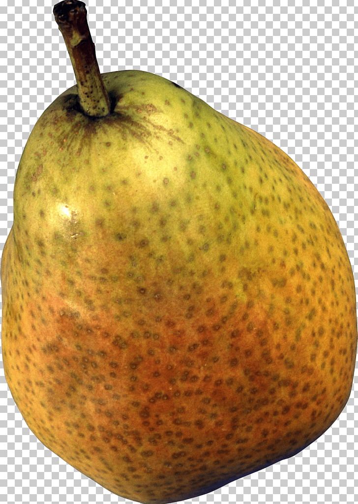 European Pear Papa Pear Saga Princeton University Fruit PNG, Clipart, Bosc Pear, Download, Eatclean, Fitfam, Fitness Free PNG Download