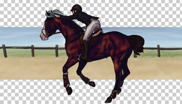 Hunt Seat Stallion Dressage Horse Rein PNG, Clipart, Animals, Animal Training, Dressage, Equestrian, Equestrian Sport Free PNG Download