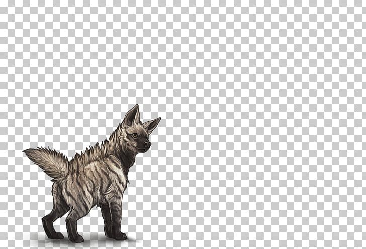 Maltese Dog Cat Felidae Striped Hyena Lion PNG, Clipart, Animals, Canidae, Carnivora, Carnivoran, Cat Free PNG Download