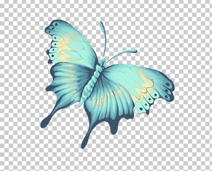 Monarch Butterfly Blue PNG, Clipart, Aqua, Blue, Brush Footed Butterfly, Butterflies, Butterfly Group Free PNG Download