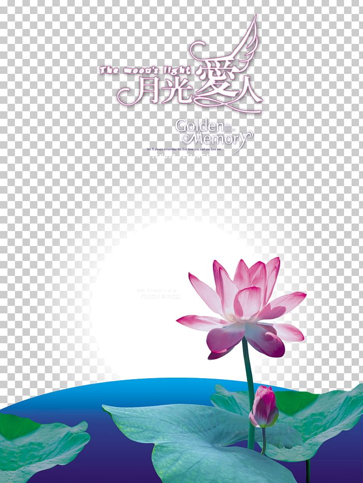 Photography Moonlight Over The Lotus Pond Numbered Musical Notation Nelumbo Nucifera PNG, Clipart, Aquatic Plant, Black And White, Computer Wallpaper, Dizi, Drawing Free PNG Download