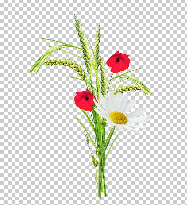 Poppy Flower PNG, Clipart, Artificial Flower, Balloon Cartoon, Cartoon, Cartoon Couple, Cartoon Flowers Free PNG Download