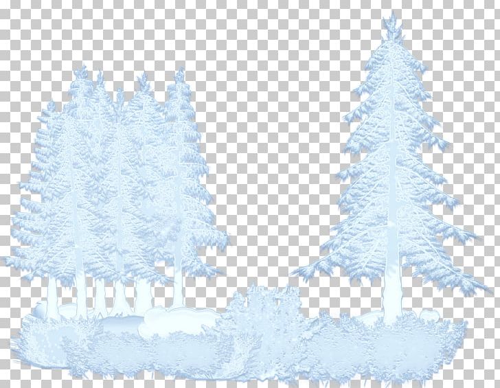 Spruce Fir Pine Christmas Tree PNG, Clipart, Blue, Christmas, Christmas Decoration, Christmas Ornament, Christmas Tree Free PNG Download