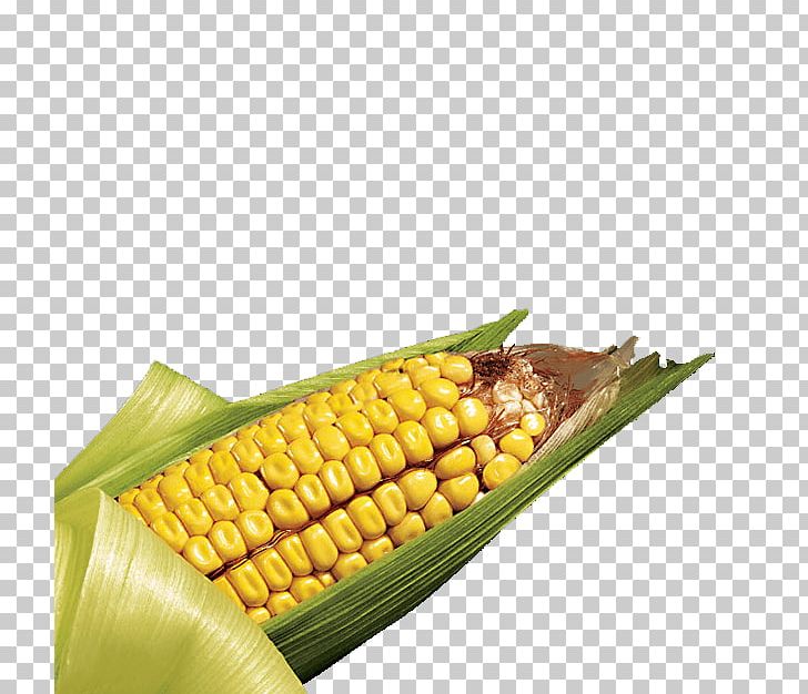Corn On The Cob SmartStax Maize Field Corn Corn Kernel PNG, Clipart, Commodity, Corn Ethanol, Corn Kernel, Corn Kernels, Corn On The Cob Free PNG Download
