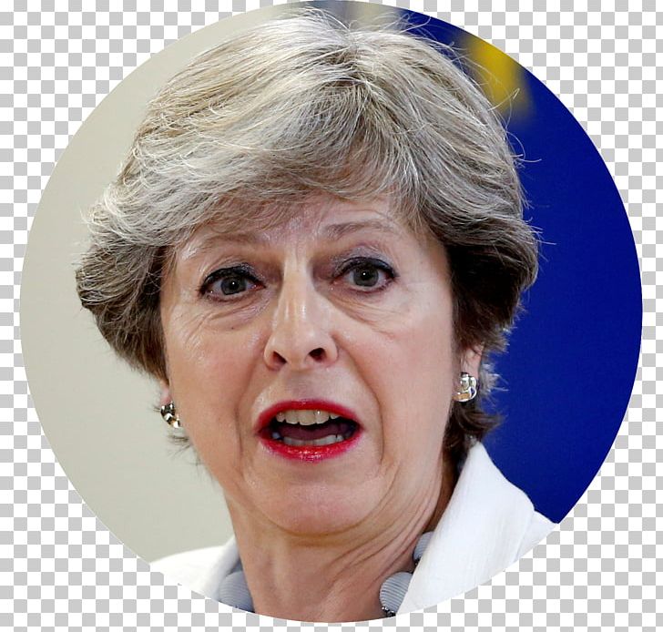 Theresa May Brexit United Kingdom European Union Democratic Unionist Party PNG, Clipart, Boris Johnson, Brexit, Cheek, Chin, Closeup Free PNG Download