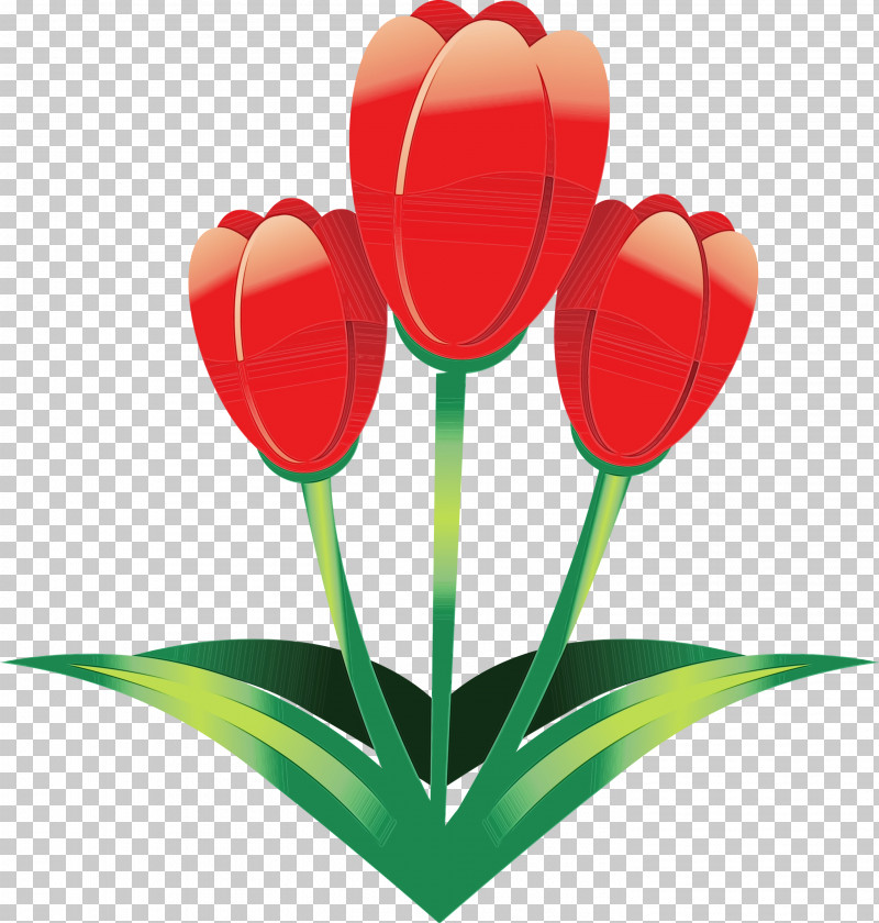 Tulip Flower Red Petal Plant PNG, Clipart, Anthurium, Cut Flowers, Easter Flower, Flower, Heart Free PNG Download