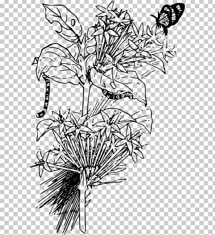 Butterfly Drawing Larva PNG, Clipart, Art, Artwork, Black And White, Branch, Butterfly Free PNG Download