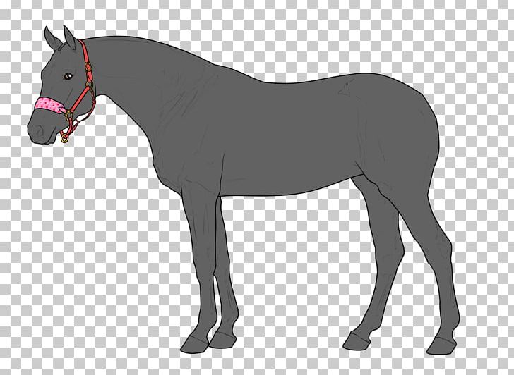 Foal Rein Stallion Mustang Horse Tack PNG, Clipart, Animal Figure, Bridle, Colt, Foal, Gallop Free PNG Download