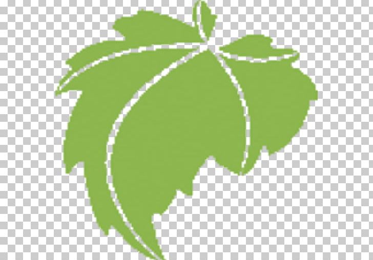 Grapevine Leaf Plant Stem Line PNG, Clipart, Abba, Access, Flora, Flowering Plant, Fruit Free PNG Download
