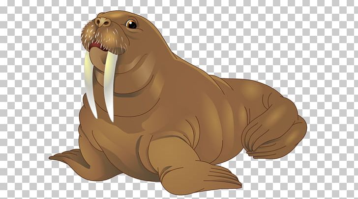 Walrus Sea Lion Earless Seal PNG, Clipart, Animal, Animals, Carnivora, Carnivoran, Dog Like Mammal Free PNG Download