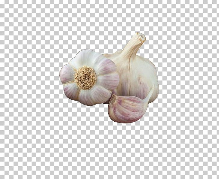 Organic Food Garlic Vegetable Fruit PNG, Clipart, Auglis, Carrot, Chives, Disinfection, Euclidean Vector Free PNG Download