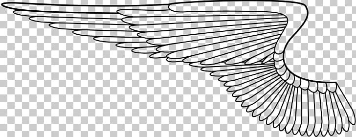 Angle Others Wings PNG, Clipart, Angel Wings, Angle, Black And White, Download, Drawing Free PNG Download