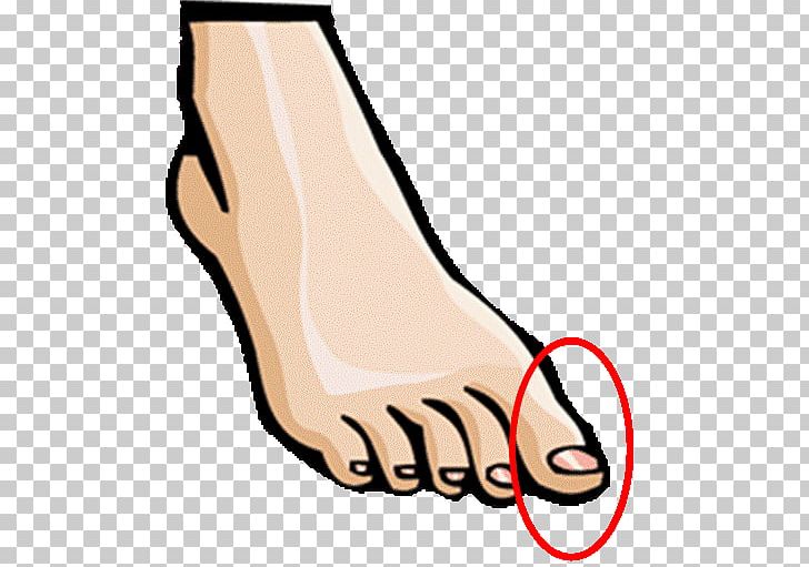 Foot Human Body Toe Hand PNG, Clipart, Area, Arm, Artwork, Clipart, Clip Art Free PNG Download