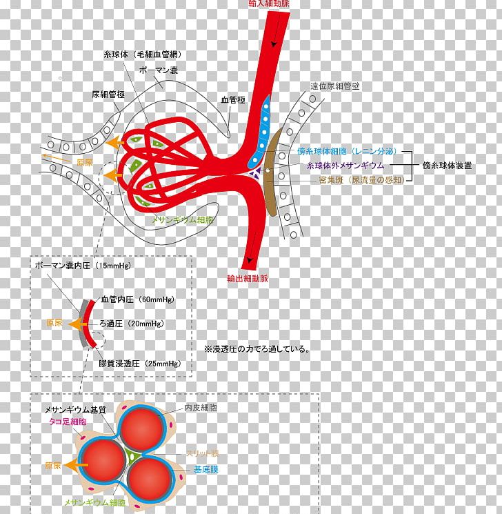 Line Point Angle PNG, Clipart, Angle, Area, Art, Diagram, Graphic Design Free PNG Download