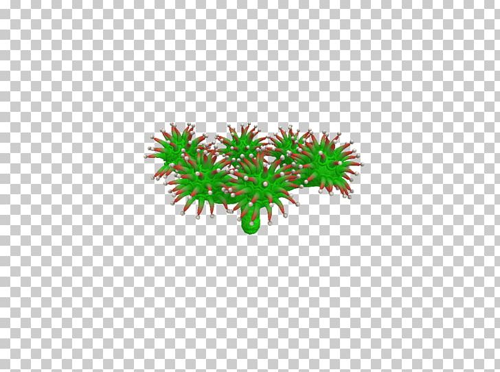 Tree Plant Line Aquarium PNG, Clipart, Aquarium, Aquarium Decor, Grass, Line, Nature Free PNG Download