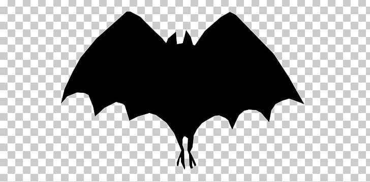 Batman: Hush Bat-Signal PNG, Clipart, Bat, Bat Cartoon, Batman, Batman Begins, Batman Dead End Free PNG Download