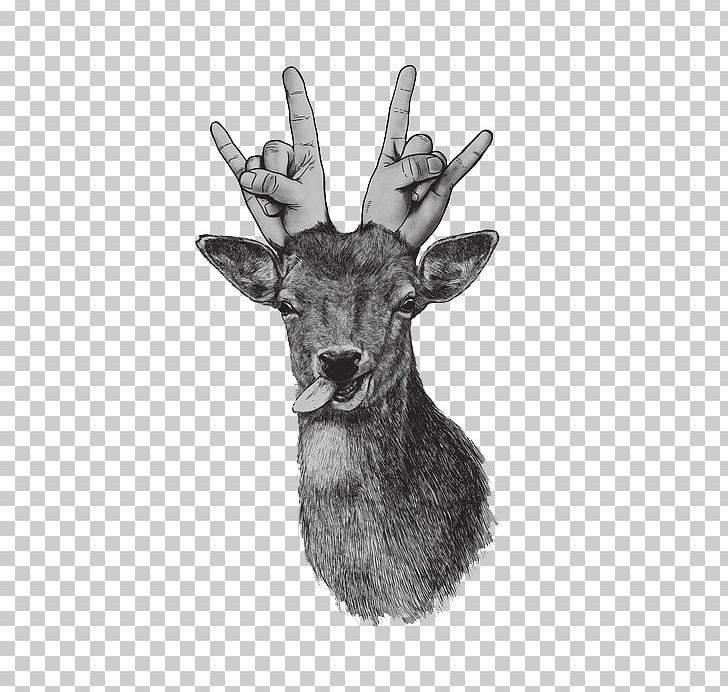 Deer Drawing Watercolor Painting Art PNG, Clipart, Animals, Antler, Art, Art Museum, Black And White Free PNG Download