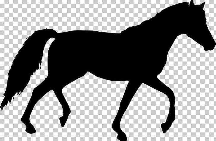 Horse Silhouette PNG, Clipart, Animals, Black And White, Bridle, Collection, Colt Free PNG Download
