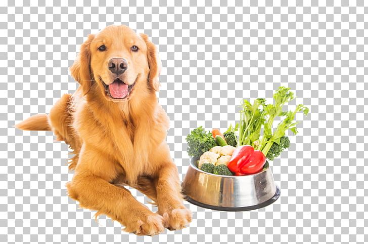 Dog Food Vegetarian Cuisine Vegetarianism Veganism PNG, Clipart, Animals, Carnivoran, Companion Dog, Dog Breed, Dog Breed Group Free PNG Download
