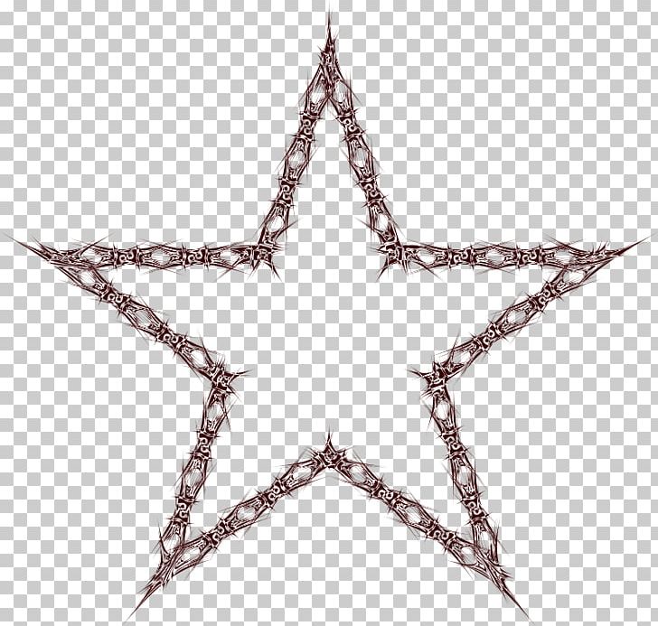 Five-pointed Star PNG, Clipart, Abstract, Branch, Computer Icons, Fivepointed Star, Line Free PNG Download